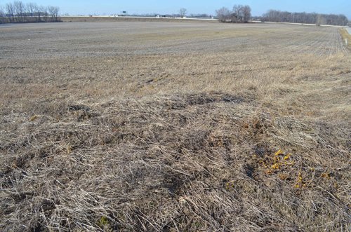 Property photo 6 - East Allen County - 55 Acre Land Auction